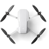 DJI Mavic Mini Drone (CP.MA.00000120.01)